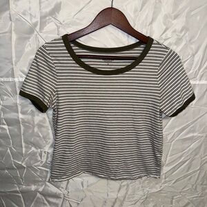 Hollister Olive and White Striped Tee